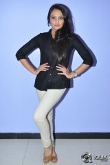 Celebrities at Ladies and Gentlemen Movie Preview